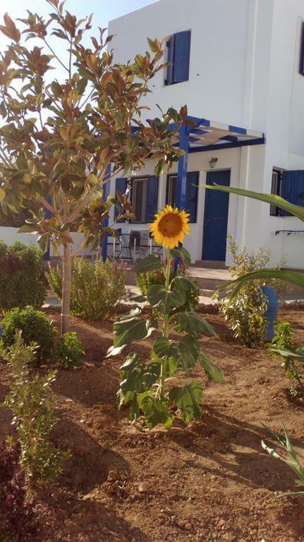 Ninemia Studios Serifos Island Luaran gambar
